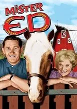 Póster de Mister Ed
