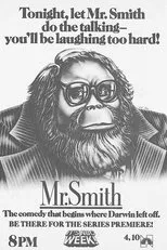 Póster de Mr. Smith
