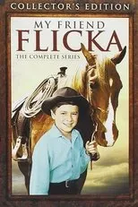 Póster de My Friend Flicka