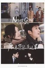 Póster de Never Gone