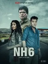 Póster de NH6