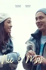 Póster de Nic & Mar