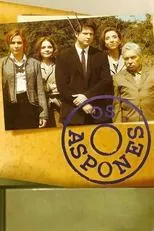 Póster de Os Aspones