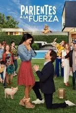 Póster de Parientes a la Fuerza