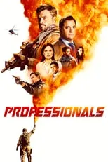 Póster de Professionals