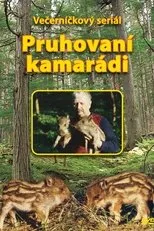 Póster de Pruhovaní kamarádi