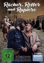 Póster de Rächer, Retter und Rapiere