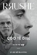 Póster de Rrushe