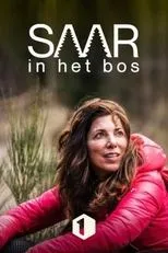Póster de Saar in het bos