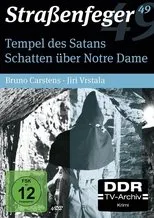 Póster de Schatten über Notre Dame