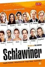 Póster de Schlawiner