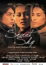 Póster de Secret Sky