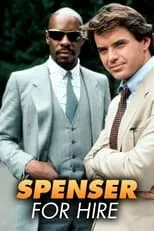 Póster de Spenser, detective privado