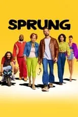 Póster de Sprung