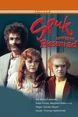 Póster de Spuk unterm Riesenrad