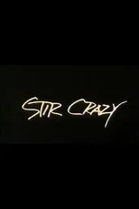 Póster de Stir Crazy