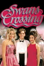 Póster de Swans Crossing