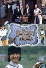 Póster de The District Nurse