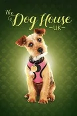 Póster de The Dog House