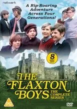 Póster de The Flaxton Boys