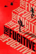 Póster de The Fugitive