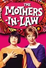 Póster de The Mothers-in-Law