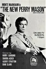 Póster de The New Perry Mason