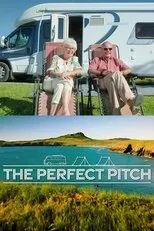 Póster de The Perfect Pitch