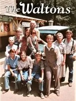 Póster de The Waltons