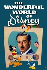 Póster de The Wonderful World of Disney