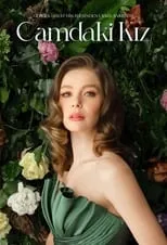 Póster de Tras el cristal
