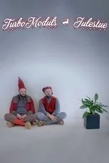 Póster de TurboModuls julestue