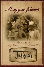 Póster de Tüskevár