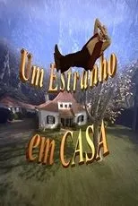 Póster de Um Estranho em Casa
