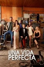 Póster de Una vida perfecta