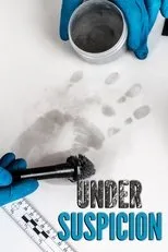 Póster de Under Suspicion