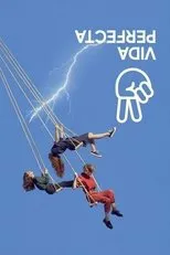 Póster de Vida perfecta