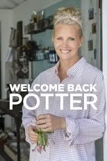 Póster de Welcome Back Potter