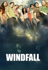 Póster de Windfall