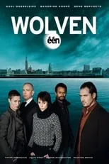 Póster de Wolven