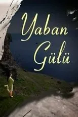 Póster de Yaban Gülü