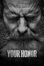 Póster de Your Honor