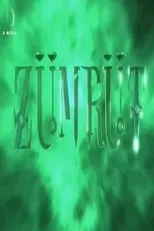 Póster de Zümrüt