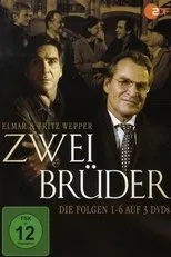 Póster de Zwei Brüder
