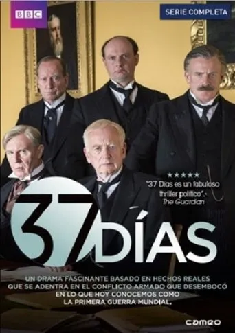 Póster de la serie 37 Dias