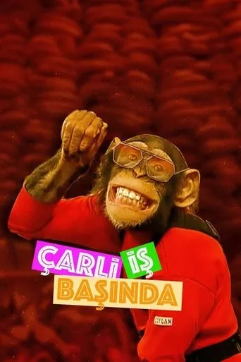 Póster de la serie Çarli