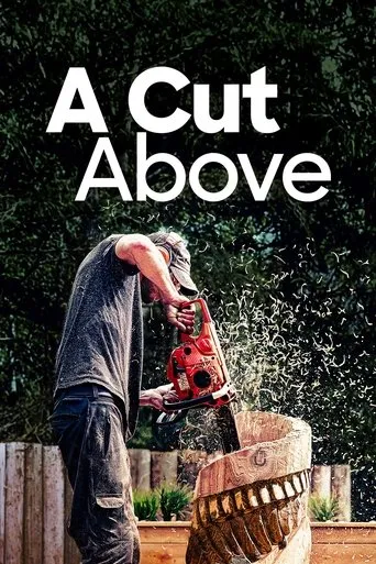 Póster de la serie A Cut Above