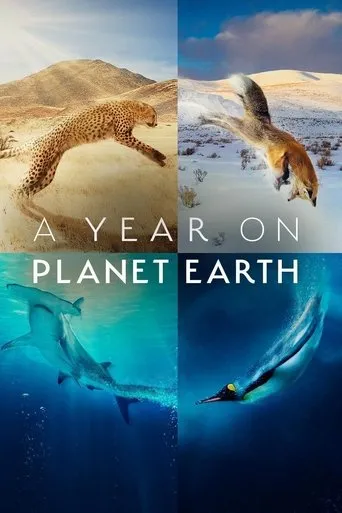 Póster de la serie A Year on Planet Earth