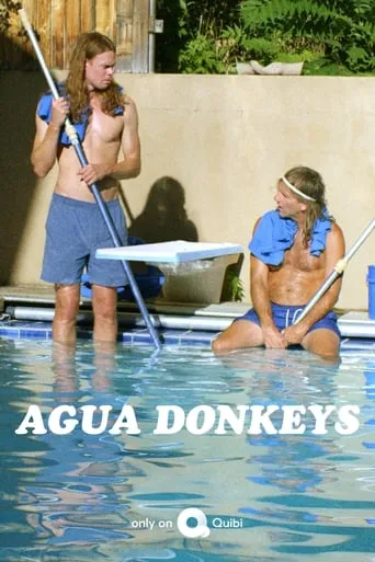 Póster de la serie Agua Donkeys