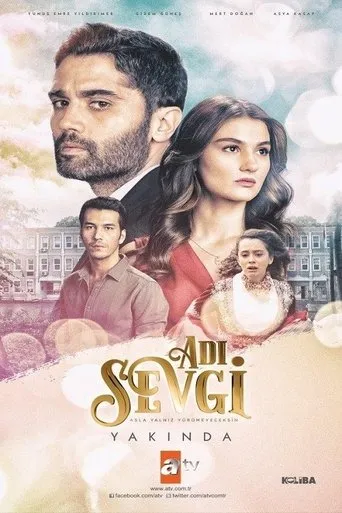 Póster de la serie Alas Escondidas